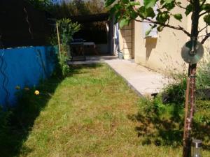 les papyrus avec draps