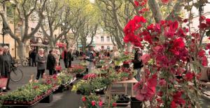 Appartements Studio BLEU, Neuf, classe 3 etoiles, Clim, Wifi, Lave-linge, Lit King Size, au calme et a 800m des plages de Valras Plage : photos des chambres