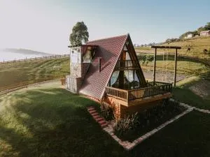 Cabanas Malbec - 邦雷蒂鲁