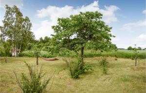 3 Bedroom Beautiful Home In Fjälkinge