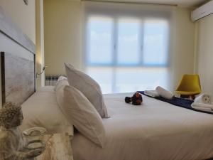 Guest House Ainsa Pirineos