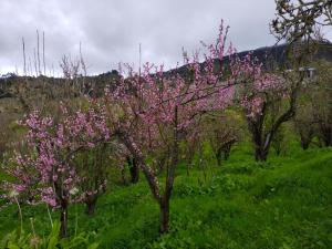 Cabaña Mirador Angelita