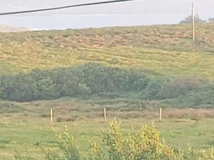 Ceasers cabin is a cosy 1 bedroom cabin