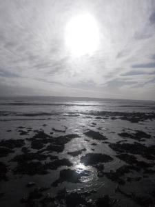 Ceasers cabin is a cosy 1 bedroom cabin