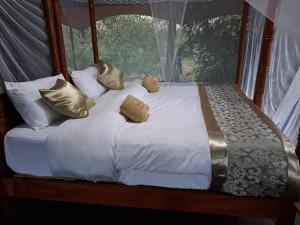 Tayari Luxury Tented Camp - Mara