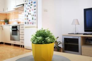 Lion Apartment - Belgrade