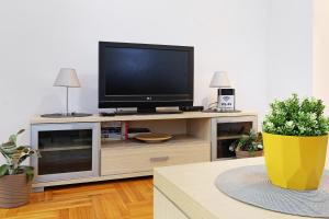 Lion Apartment - Belgrade