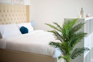 Classic Studio With Dubai Marina View