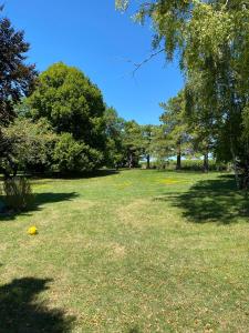 Maisons de vacances Gites du Grand Bois : photos des chambres