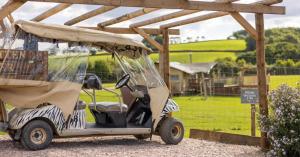 Luxury Safari Lodge-Sleeps 4 6-Deer Park-Dogs Ok