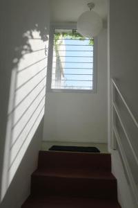 Spacious house with garden, La Plata center.