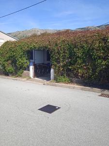 Apartment Fortica