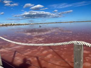 Appartement T2 Gruissan port, rive gauche