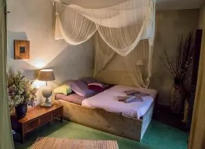 Mas Nouveau - Charnavas