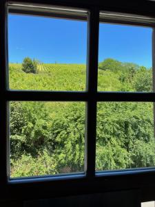 Domaine La Cour Des Nobles - Demeure, Maison et Appartements au coeur de Riquewihr : photos des chambres