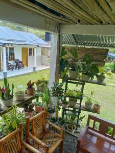 Ragos Homestay