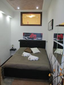 Appartamento Tulipano Rosa