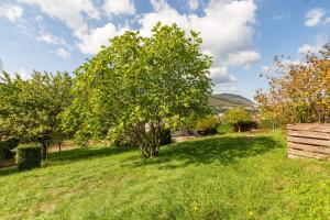 Chalets Chalet Les Tourelles : photos des chambres