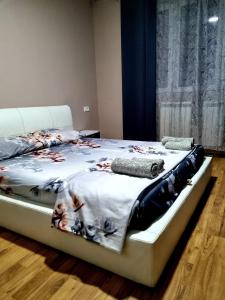 ELISA Apartment 20B Center-Skopje