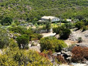 Maisons de vacances Maison de 3 chambres avec jacuzzi jardin clos et wifi a Santo Pietro di Tenda : photos des chambres