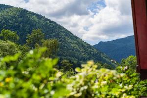 Auberge et Chalets de la Wormsa : photos des chambres