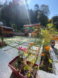 Dhi Ananta Homestay - Pure Veg