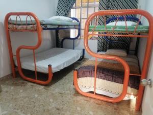 Apartamento vacacional viaja con tu mascota