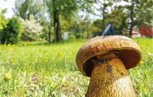 Holiday Home Morag Kretowiny Iii