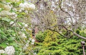 Holiday Home Barczewo Kaplityny Vii