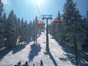 Familien-Ferienwohnung Haustein - Arnsfeld