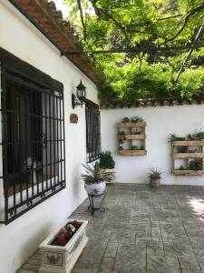 Luxury Spanish Country House close to Granada & Sierra Nevada