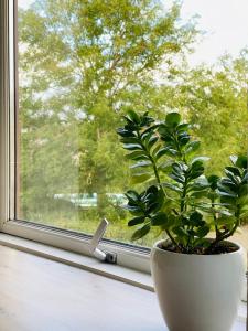 Randers residence Sankt Andreas - 2 room apartment