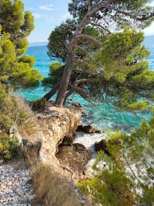 Studie-Apartment in Makarska, Kroatien