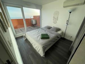 Appartements a Perols entre Montpellier et les plages, Vue Imprenable sur l'etang de l'Or : photos des chambres