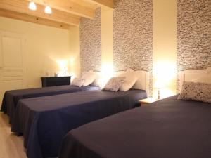 Gîte chaleureux 5 chambres près de Freycenet-la-Cuche, idéal pour familles et amis, animaux admis - FR-1-582-23