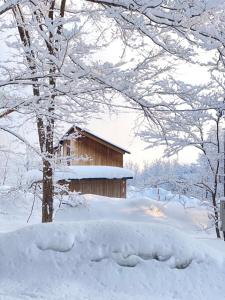 Furano Peak