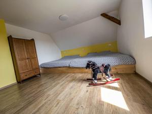 Maisons de vacances Gite le coeur d'Alsace : photos des chambres