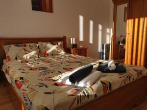 Sunny home by the lift in Bansko