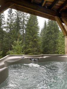 Chalets Le Refuge de Belbriette, chalet au coeur de la nature avec spa : photos des chambres