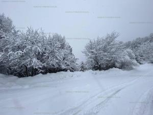 Appartement T2 au pied des pistes, 4 couchages, Les Angles - Balcon, Wifi, Parking - FR-1-295-137