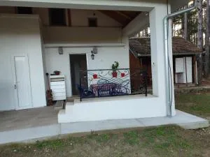 Kuća za odmor "Crni bor" - Vinci