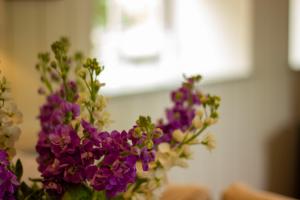 The Potting Shed, 5* Luxury escape Cirencester