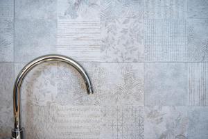 Magnolia magnifique T2 entièrement rénové.