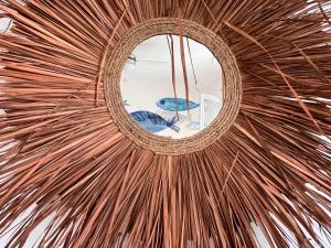 Villas Les galets bleus de Calvi : photos des chambres