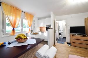 Studio Apartment Aneta