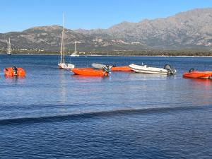 Villas Les galets bleus de Calvi : photos des chambres