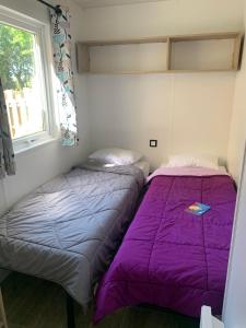 Campings Camping de l'Etang du Pays Blanc : photos des chambres
