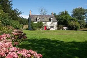 The White House - Longformacus