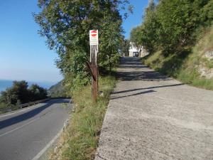 Villa Venturelli