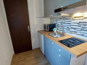 Appartement cosy pied des pistes, 4 pers, parking - FR-1-516-185